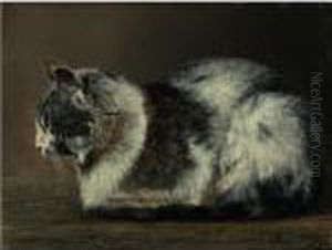 Cat by Ivan Pavlovich Pokhitonov