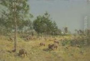 Grazing Sheep Grazing Sheep