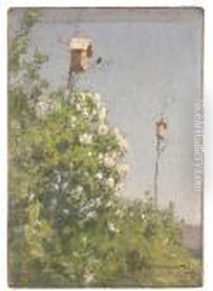 Nesting Boxes Above Flowering Shrubs - view 1