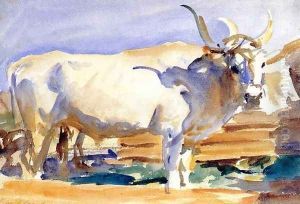 White Ox at Siena