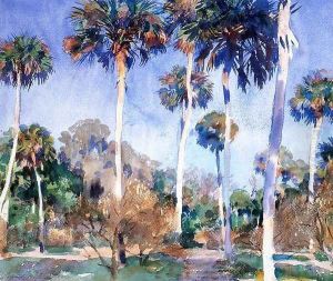 Palms