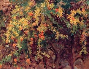 Pomegranates 2 by John Singer Sargent