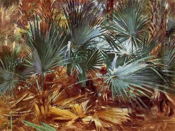 Palmettos - view 1