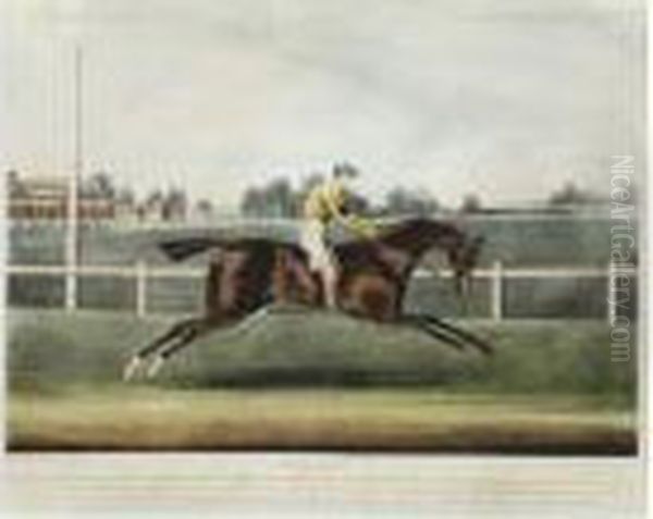 Figaro - view 1