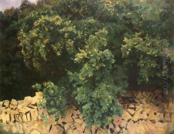Ilex Wood, Majorca - view 1