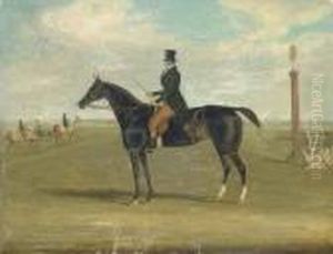 A Black Racehorse With A Trainer Up, With Horses Being Exercisedbeyond