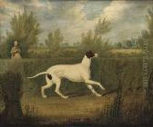 The Partridge Shoot by James Pollard