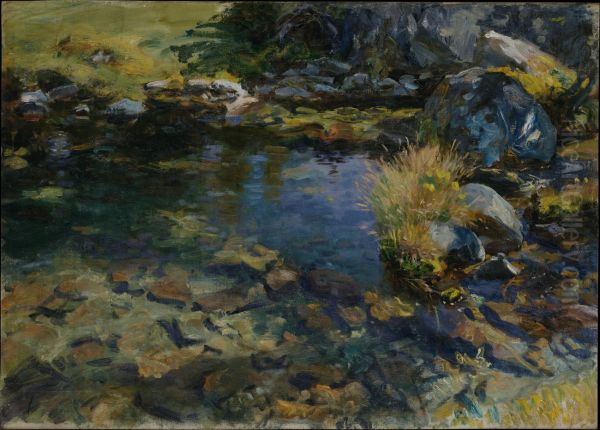 Alpine Pool 1907 - view 1