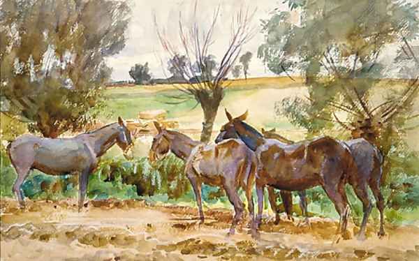 Mules 1918 - view 1