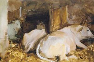 Three Oxen ca 1910 by John Singer Sargent