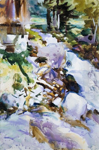 Rushing Brook - view 1