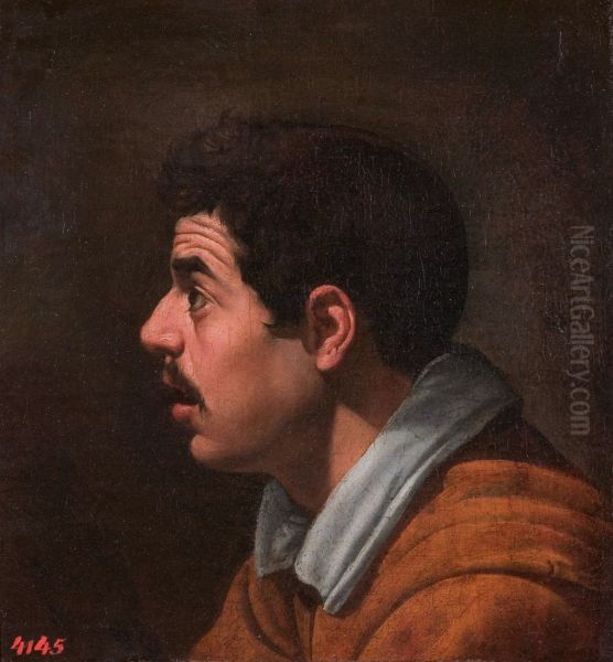 Head of a Young Man in Profile - view 1