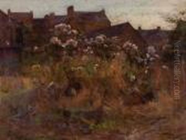 Paesaggio - view 1