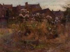 Paesaggio Paesaggio