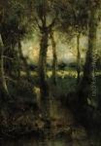 Pascolo Ai Margini Del Bosco by Luca Postiglione