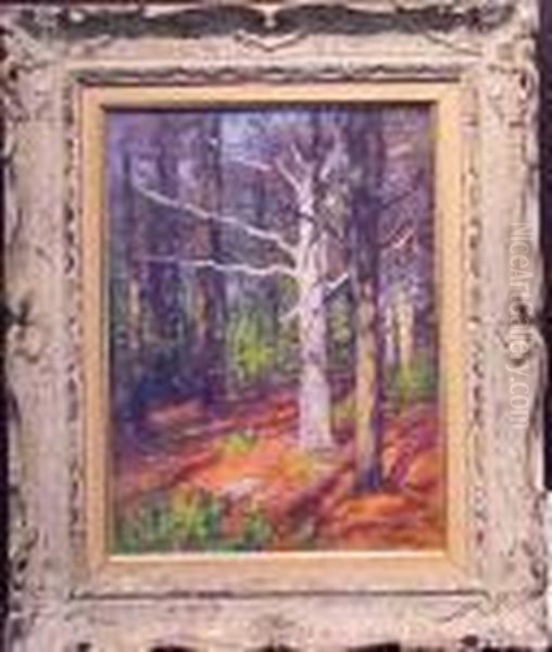 Forest Interior - view 1