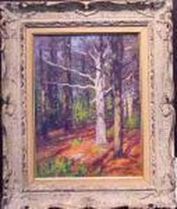 Forest Interior