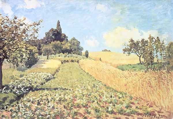 Wheat Field - view 1