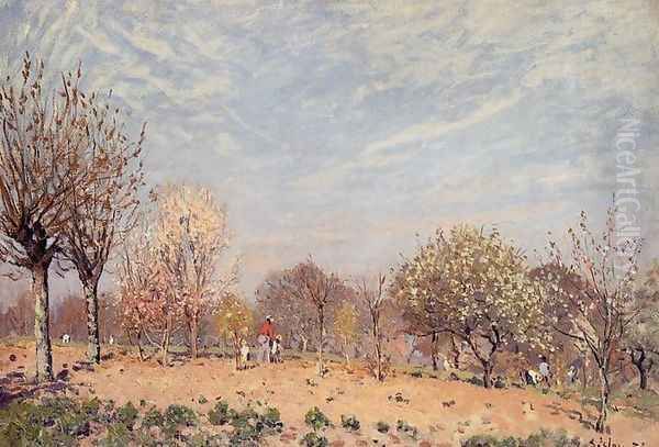 Apple Trees in Flower, Spring Morning - view 1
