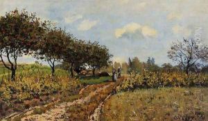 Path in the Country