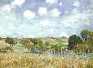 Meadow 1875