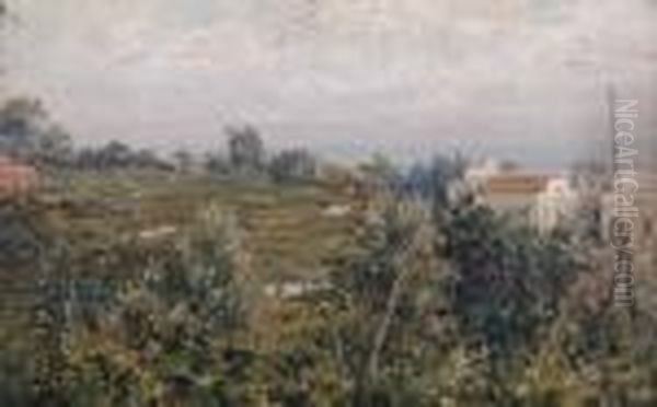 Capri - view 1