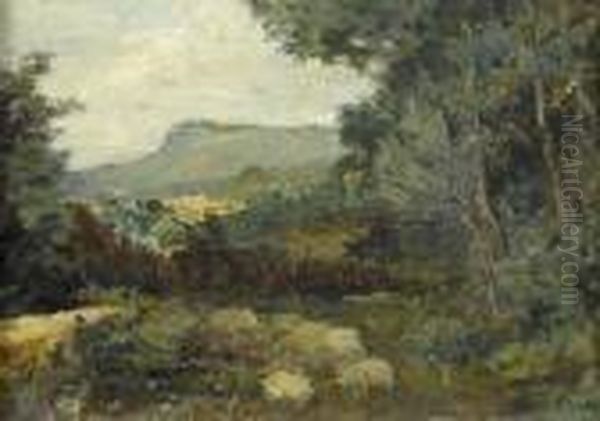 Waldlichtung Mit Blick Auf Hugelige Landschaft - view 1