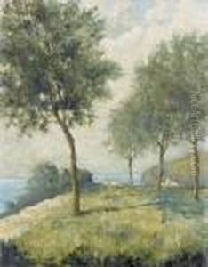 Caprilandschaft Mit Olivenbaumen
