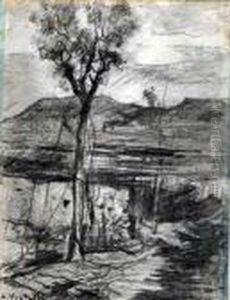 Stradina Con Albero