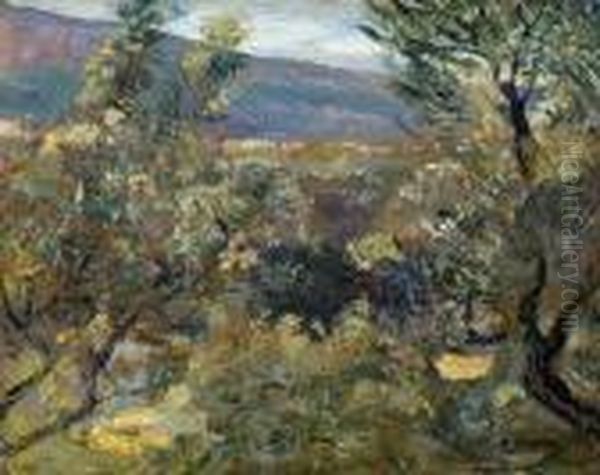 Paesaggio Boschivo - view 1