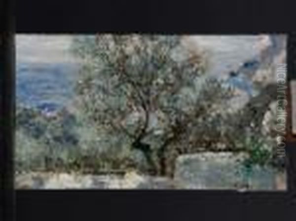 Scorcio Caprese - view 1