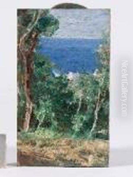 Scorcio Di Capri - view 1