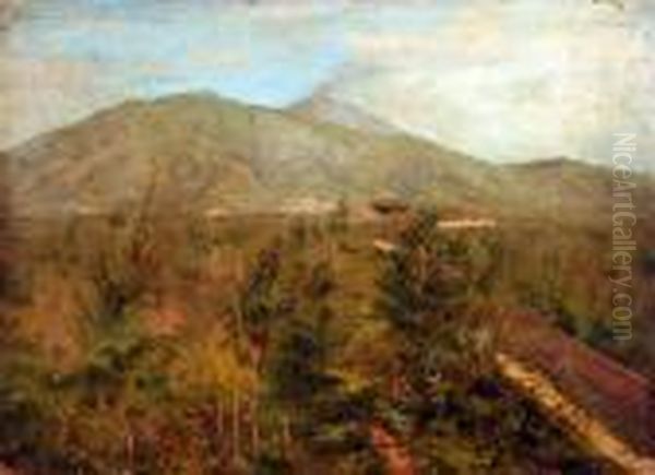 Alle Falde Del Vesuvio - view 1