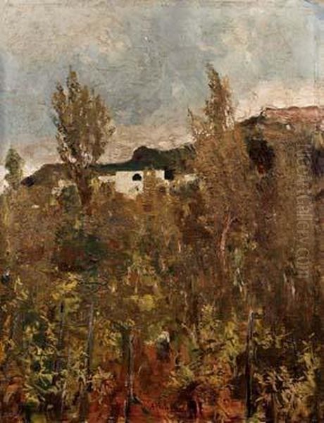 Campagna Sul Vesuvio - view 1
