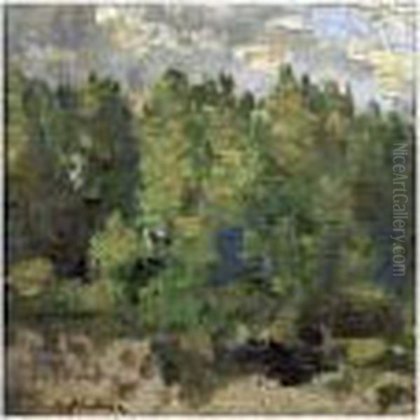 Paesaggio - view 1