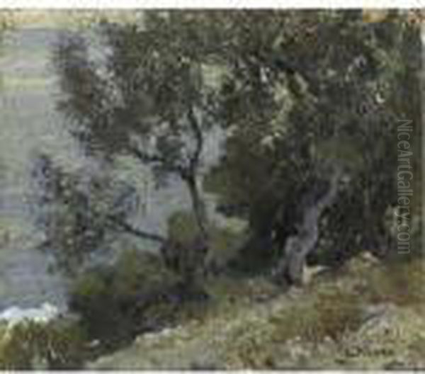 Ulivi Sul Mare A Capri - view 1