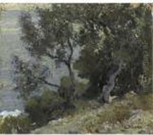 Ulivi Sul Mare A Capri by Attilio Pratella
