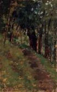 Viottolo Nel Bosco