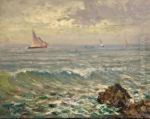 Marina - view 1