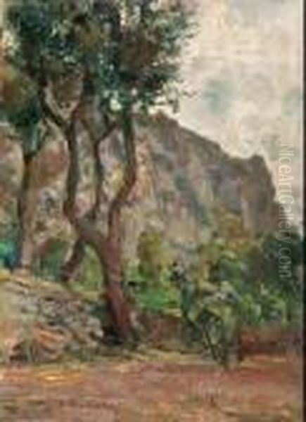 Capri - view 1