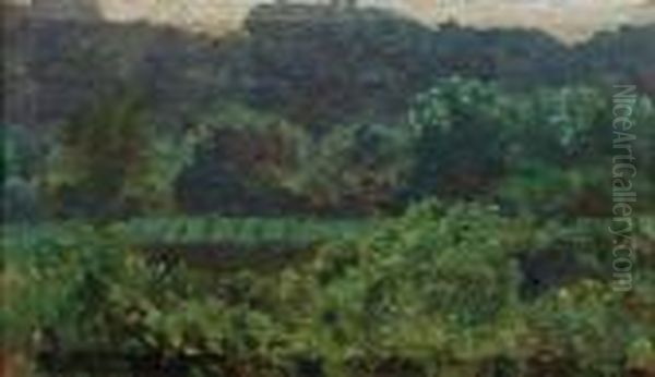 Paesaggio - view 1