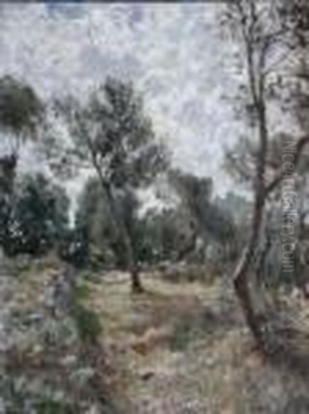 Paesaggio Con Ulivi - view 1
