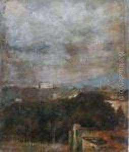 Napoli Con Vesuvio