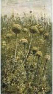 Fiori Con Farfalla Gialla