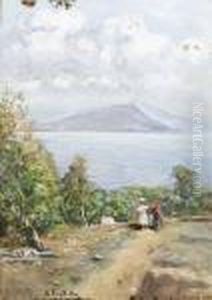 Vita Nel Golfo Vita Nel Golfo