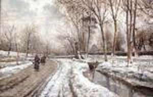 Neve Ai Camaldoli Neve Ai Camaldoli