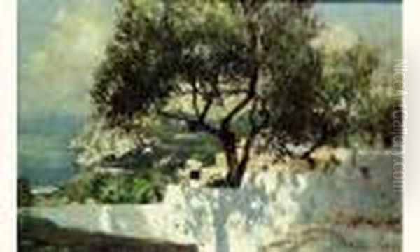 Capri, Le Mur Blanc - view 1