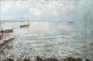 "vesuvio Da Mergellina" Napoli 1924