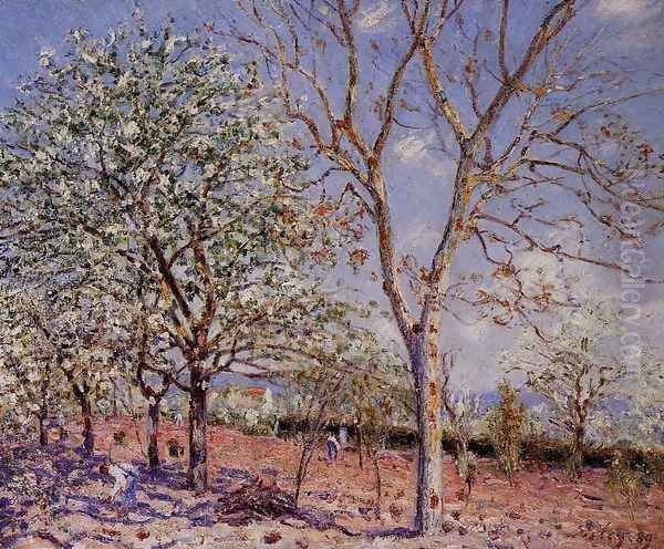 Plum and Walnut Trees in Spring - view 1