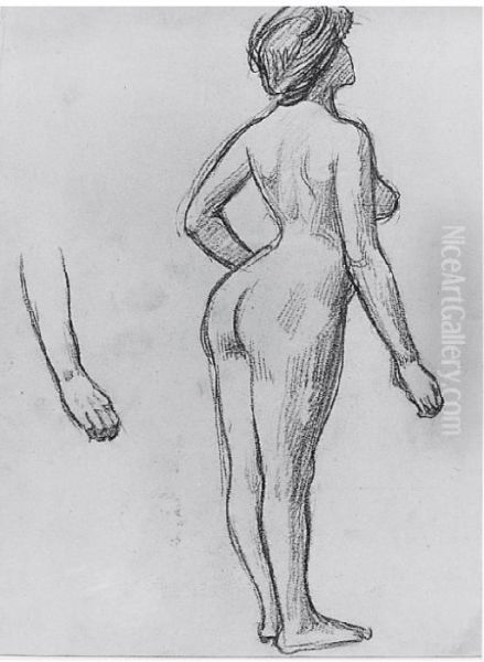 Studio Di Nudo Femminile Di Spalle - view 1